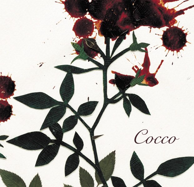 ♪ 星に願いを / Cocco #nowplaying