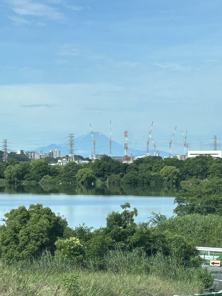 gogoxap's tweet photo. 先日、ここで不審者と勘違いされました🤣
ほぼ毎日この辺りでカエルの餌を取っているのだけれど。。。
何をしている人だと思われたのだろう？？？ https://t.co/6QaVPdrpIL