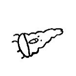 mang_808's tweet photo. 가다가 넘어진 밥탱이🍚

#밥탱이_art https://t.co/pQhF55mSuE