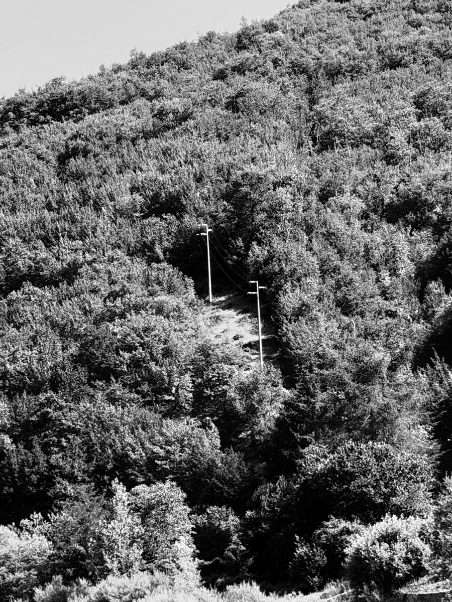 Alonein43672278's tweet photo. #photography #blackandwhite #trees #pylons https://t.co/LM94AQSF2S