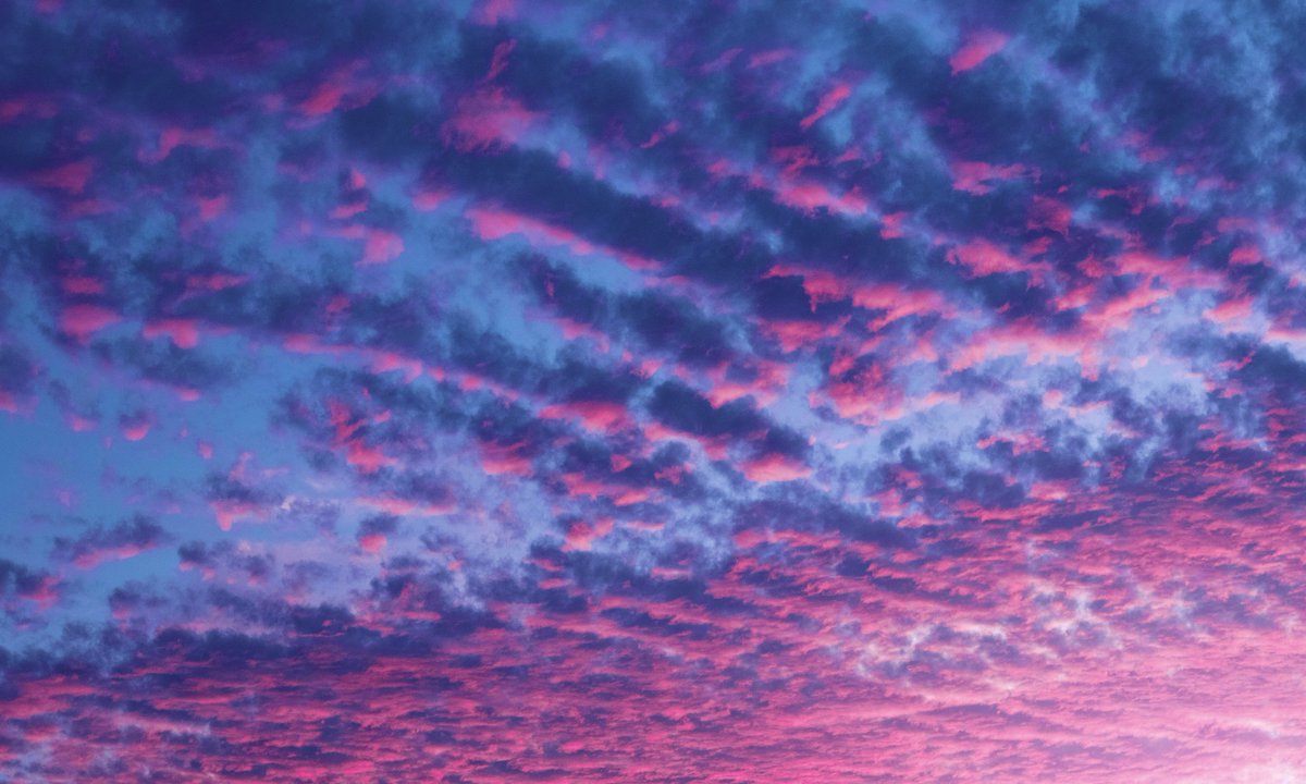 gardenofcolours's tweet photo. when blue meets pink, the sky becomes art https://t.co/0jZo95POHC