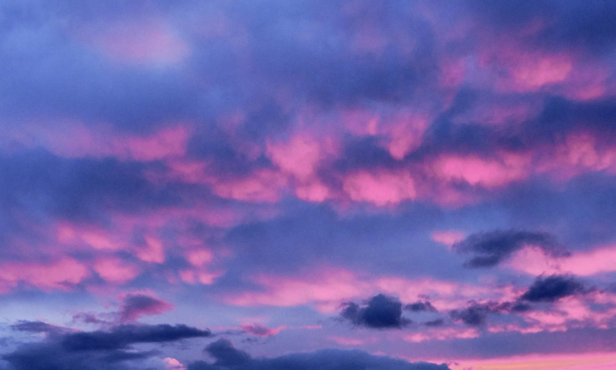 gardenofcolours's tweet photo. when blue meets pink, the sky becomes art https://t.co/0jZo95POHC