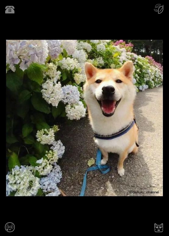 Quincy0618's tweet photo. Walking with my daughter among the flowers. Midnight snacks illuminate the dim moments of life. When daily existence feels dull and exhausting, late-night delicacies can reignite inner warmth and hope. https://t.co/zOJmKCnSpX