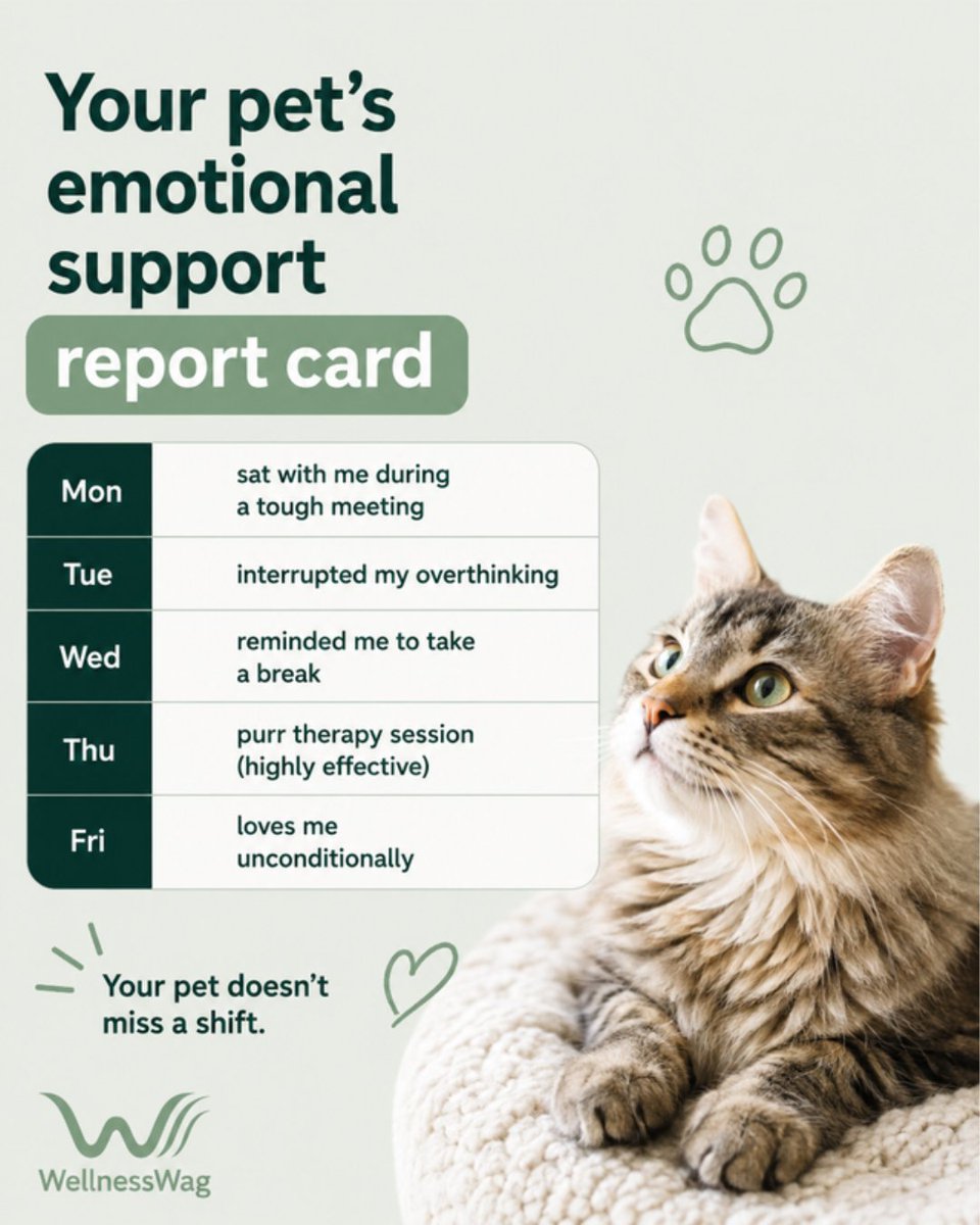 WellnessWag's tweet photo. Annual review: exceeded expectations in all categories. Paid in treats. If your pet is your daily support system, you can make it official with an ESA letter from a licensed clinician. https://t.co/cuZ1u10D6y #EmotionalSupportCat #ESALetter https://t.co/hgrgr2vio8