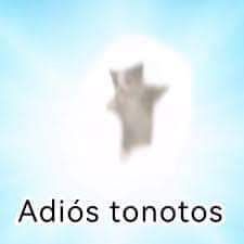 z & that 🇲🇽 tweet media