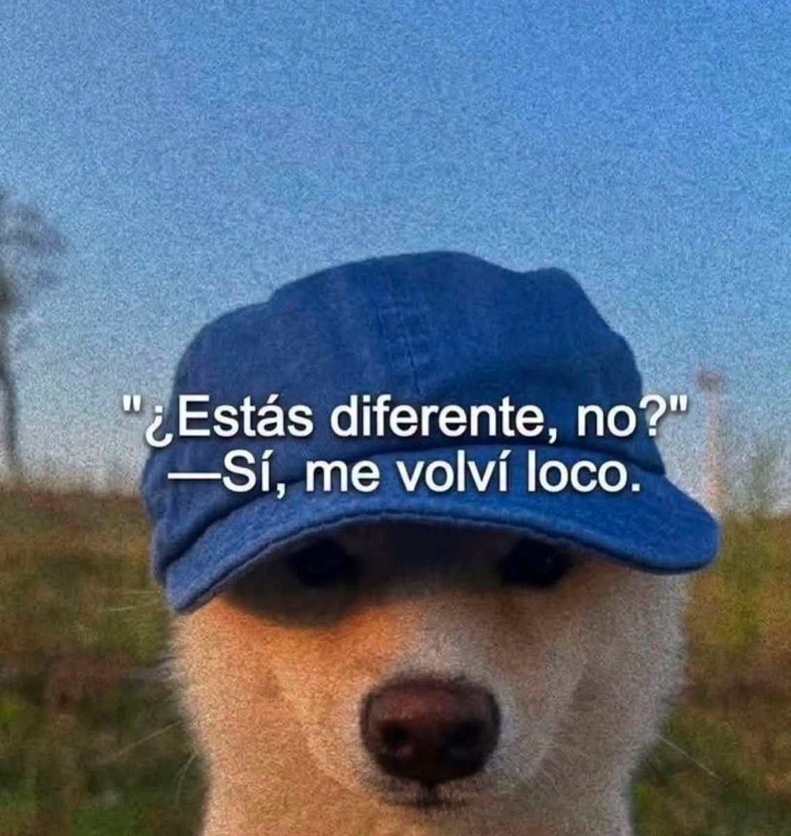 FraseSimple's tweet photo. https://t.co/n5UJ7RXaMh