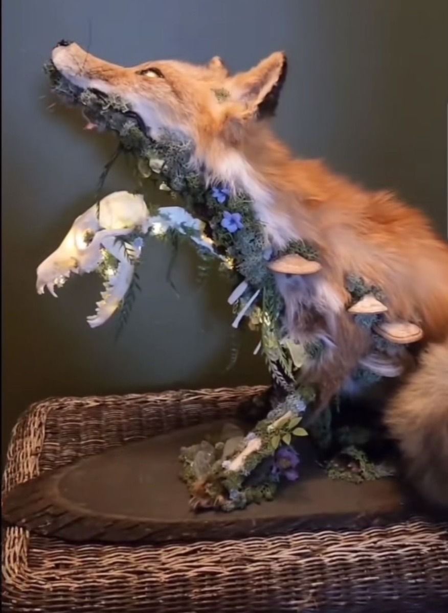pmamtraveller's tweet photo. "The Fox of Death and Decay" by artist Dark Fern Creations [IG] https://t.co/KVGyfvYLnL