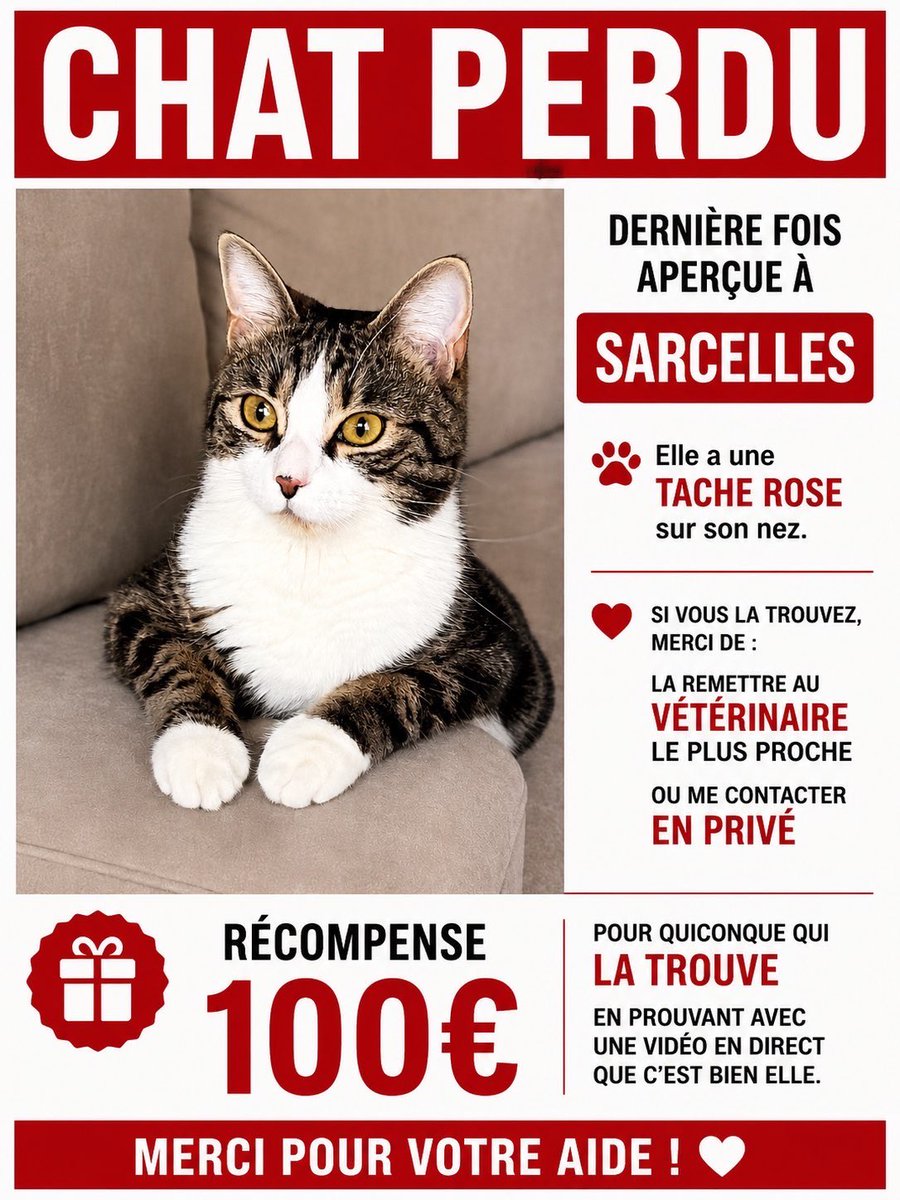 beytings's tweet photo. MOISA a été perdue le 28 juin matin près de la gare de Garges-Sarcelles, merci de me contacter en privé pour toute information permettant son retour, elle est petite, craintive, tâche sur le nez, et yeux verts, elle est pucée et n’a que 2 ans
#sarcelles #MARFRA #FRAMAR https://t.co/gQddRNynlJ