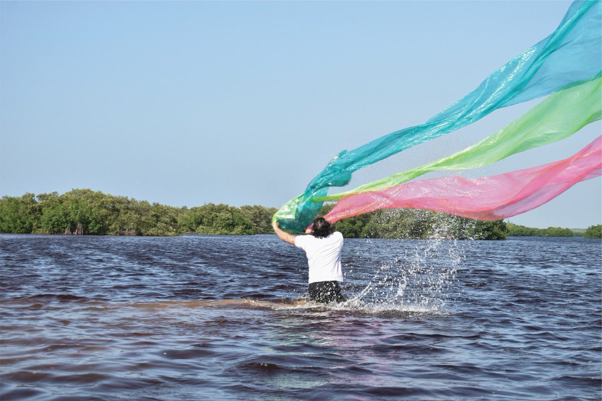 ADRIANGOMEZART's tweet photo. PRÓLOGO I · La membrana entra al territorio.

Continuación del estudio iniciado en 2025 con tierra del manglar. Esta fase activa membranas translúcidas en agua, luz y viento, para dar paso a los lienzos de este año.

Concepto y acción: Adrian Gómez.
#LosArbolesDelMañana https://t.co/ibYOjVGqEY
