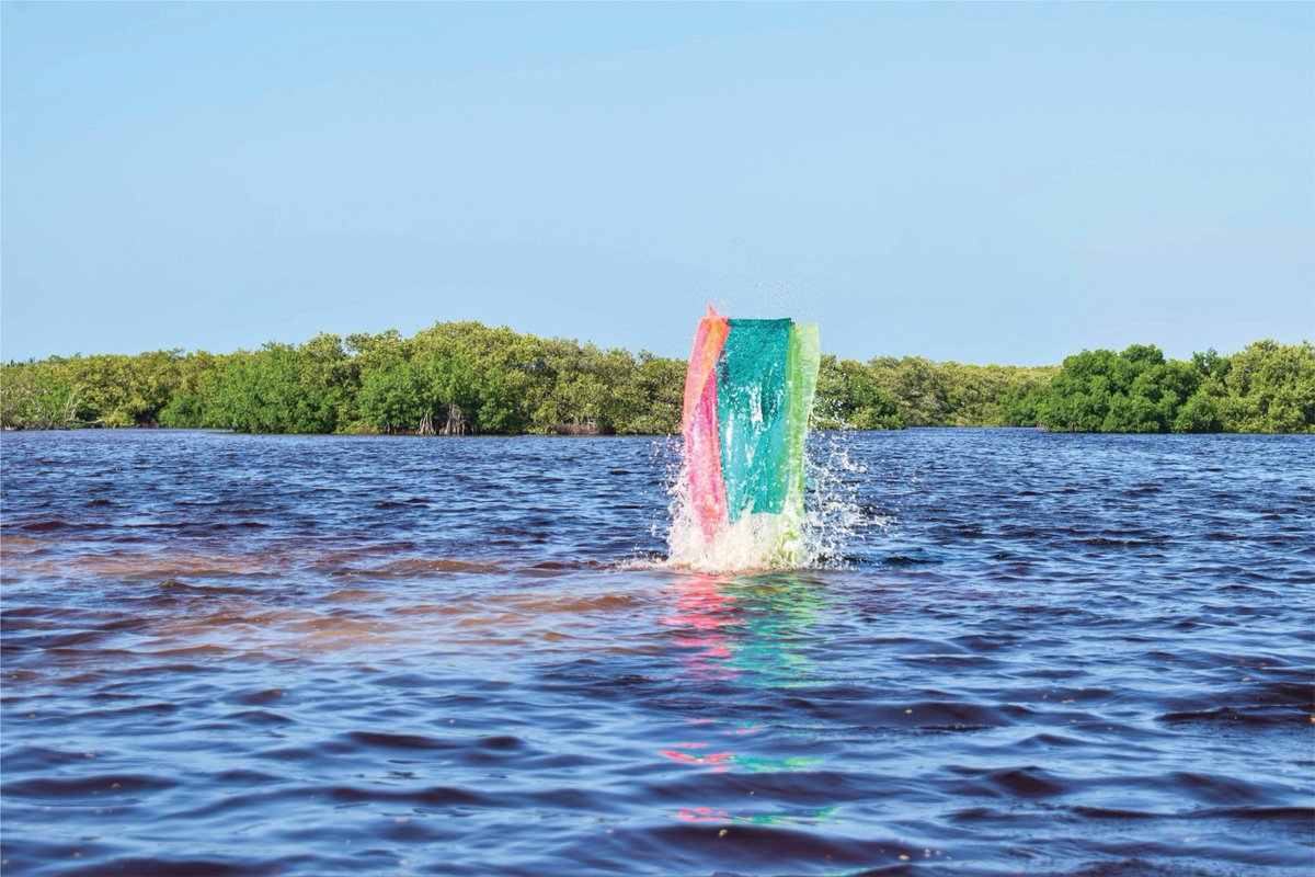 ADRIANGOMEZART's tweet photo. PRÓLOGO I · La membrana entra al territorio.

Continuación del estudio iniciado en 2025 con tierra del manglar. Esta fase activa membranas translúcidas en agua, luz y viento, para dar paso a los lienzos de este año.

Concepto y acción: Adrian Gómez.
#LosArbolesDelMañana https://t.co/iCOEYEpfdK