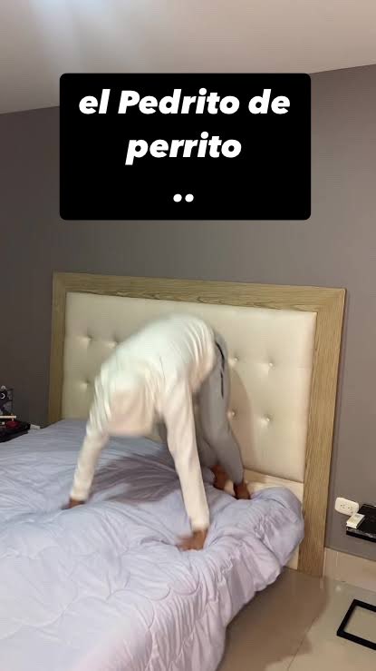 jjesusarmas's tweet photo. @RicardoBSalinas Le deberían de gustar más a Pedrito los perritos que el que  se lo hagan de perrito … seguro duele menos !! https://t.co/0vemUqCDfD