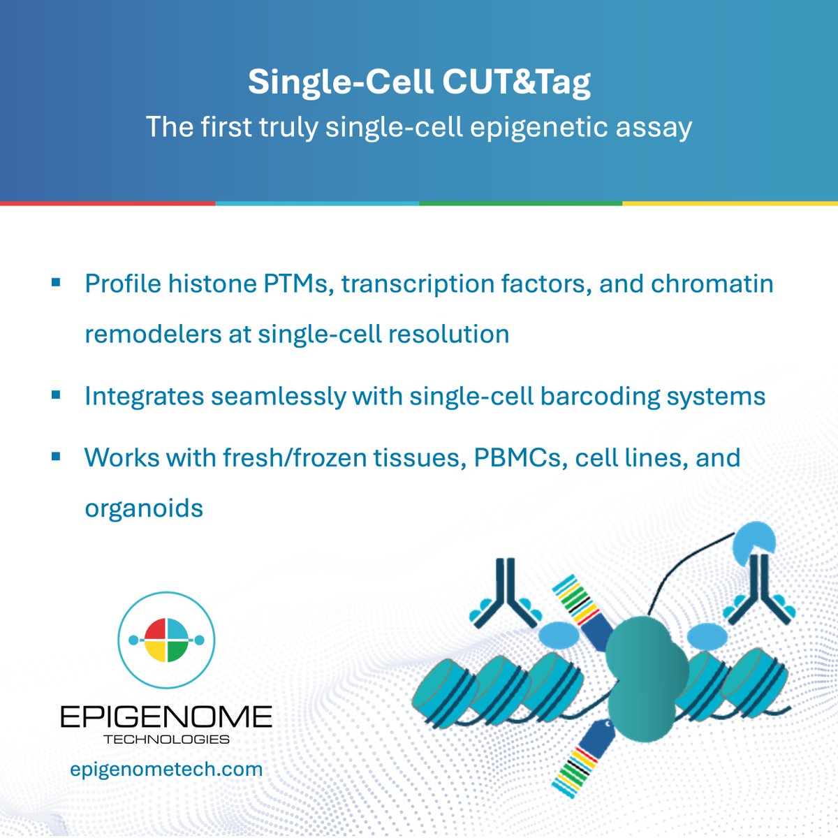 EpigenomeTech's tweet photo. New from Epigenome Technologies: the first fully validated Single-Cell CUT&Tag kit
Fully compatible with 10x Chromium® (ATAC), Fluent PiP-seq®, or BD Rhapsody
#Epigenetics #SingleCell #CUTandTag
Find out more at: https://t.co/HgMHBC3mPn https://t.co/Nq7cTPqJXB