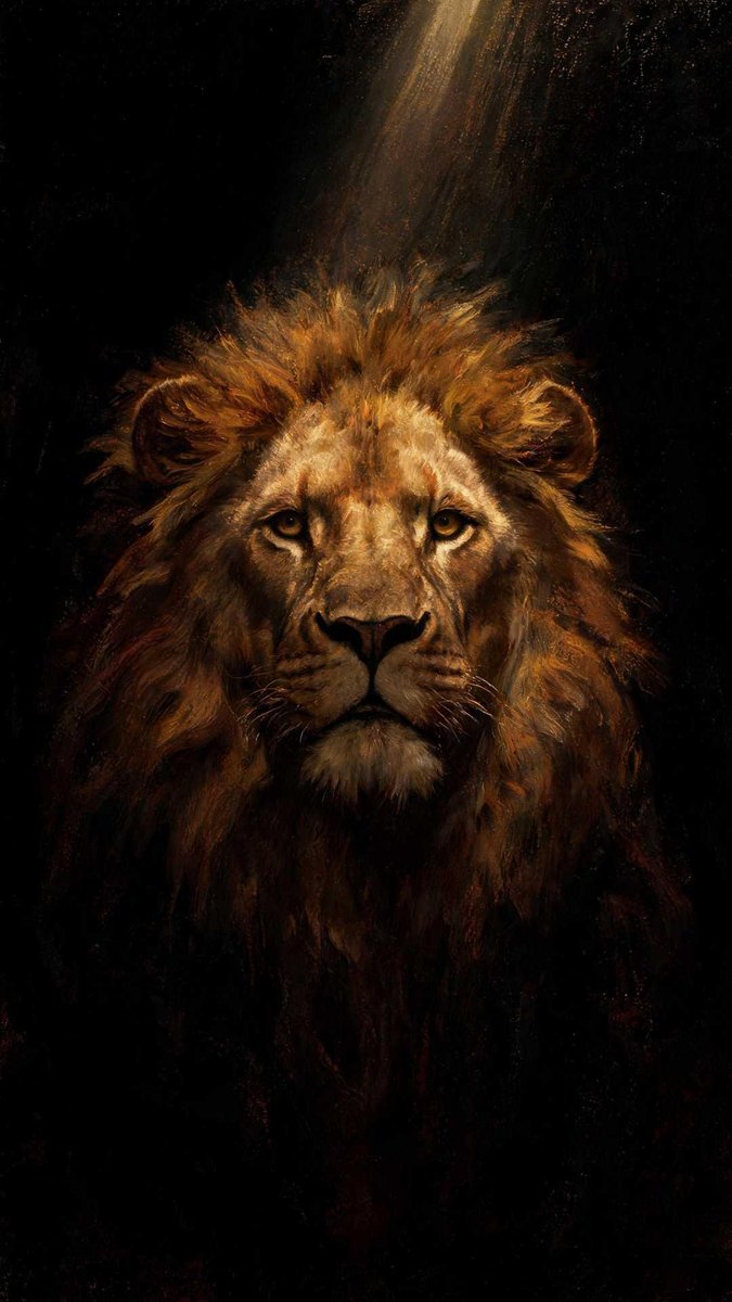 Adam_FaithfulM's tweet photo. Your phone is the first thing you see every morning.
Make it point you to Christ.

4 free Christian wallpapers — Vol. 1: Light in Darkness 🕊️

Which one's going on your lock screen? (1–4)

Save this post. 
New drop every Thursday. https://t.co/PWNMBGYZtl