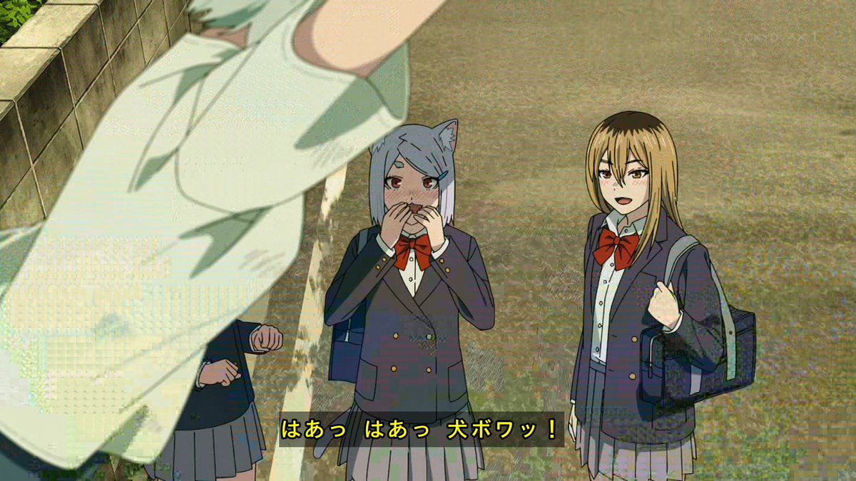 ゼデクス tweet media