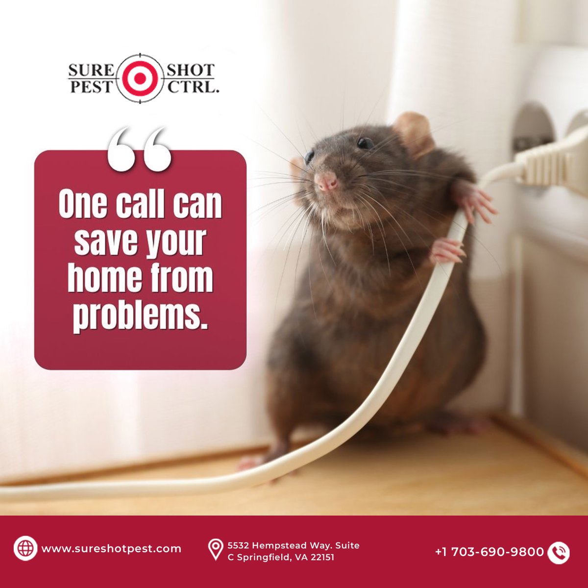 sure_shotpest's tweet photo. Rodents Donโt Belong in Your Home ๐
Scratching sounds? Chewed wires? ๐ญOne call can save your home from serious rodent damage. Fast, reliable pest control in Springfield, VA.
๐ https://t.co/UWlRmw1GA8
#RodentControl #SpringfieldVA #PestControl #RatRemoval #HomeProtection https://t.co/BdMd7Xw2bj
