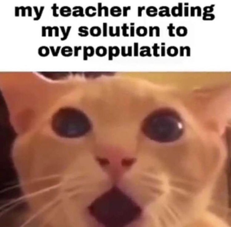 PunchingCat's tweet photo. https://t.co/IFW4yfklcJ