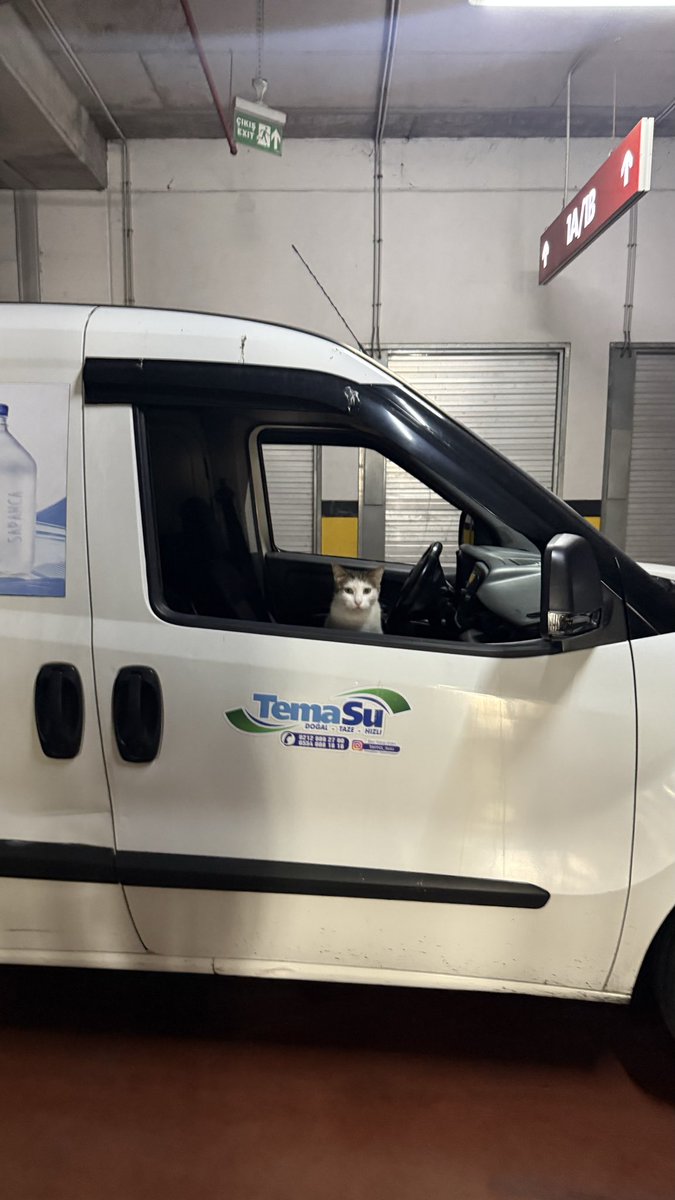aautre's tweet photo. @CatWorkers just a water delivery driver https://t.co/8Km22tEQXP