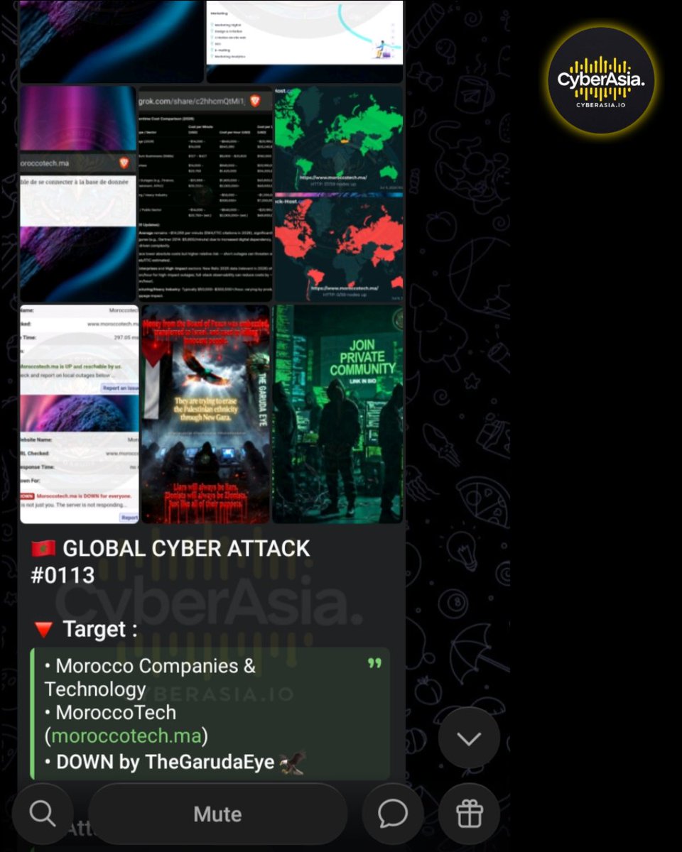 cyberasia_io's tweet photo. 🚨 Morocco Alert 🇲🇦
Pro-#Palestine #hacker group #TheGarudaEye has carried out a #DDoS (Distributed Denial of Service) attack targeting https://t.co/7iUBmjODGU, the official technology and business platform focused on #Morocco’s tech sector.
#CyberAttack #MoroccoTech https://t.co/MswKoetRMI