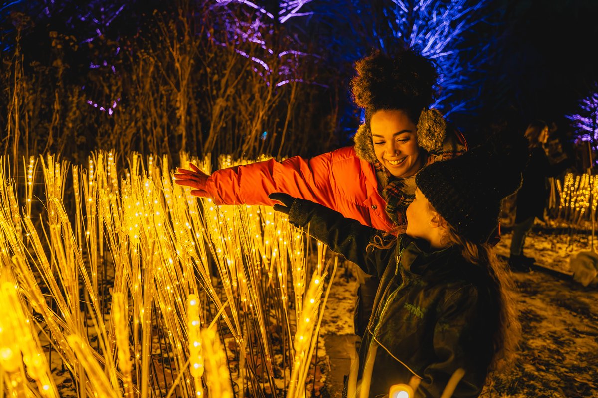 akimboart's tweet photo. 📢 Call for Submissions: Winter Wonders Performing &amp; Visual/Media Arts @ Royal Botanical Gardens, Burlington. A winter experience attracting approximately 40,000 visitors over five weeks. Varying artist fees up to $50k. Deadline: August 2, 2026. https://t.co/pssy7u5fKy https://t.co/qa7FEA177m