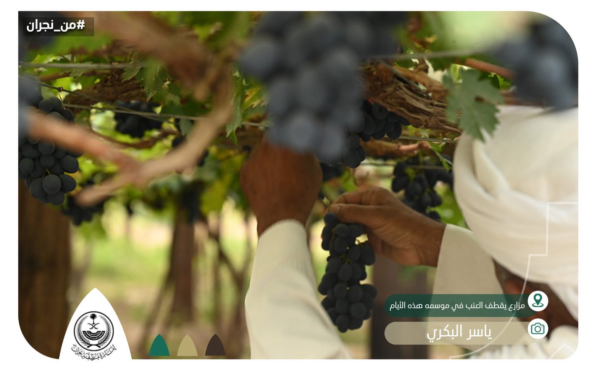 emara_najran's tweet photo. 🎞️صورة الأسبوع ||

#من_نجران https://t.co/PHuAleP3tq