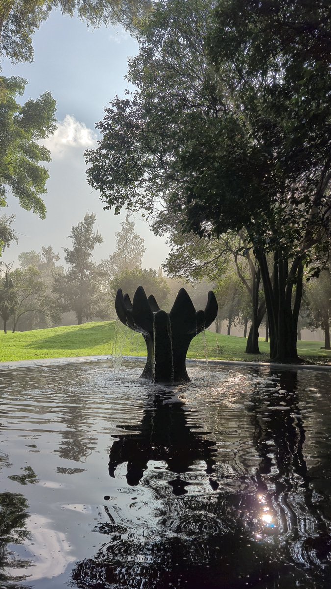 efrencasas's tweet photo. #ThursdayMotivation #nikerunning #JustDoIt #yoelegicorrer #Chapultepec #CDMX #corrersana #Runday #laufen #esdecorredores https://t.co/7oadOh2mNV