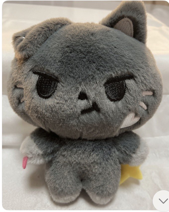 JAYapplause's tweet photo. 私のとこにもノクスタが来てくれた〜‼︎💖
かわいすぎてずっと見つめてるよ🐈‍⬛✨
ピアスまでしててチャーミングすぎる…😍 https://t.co/ZwDvaXdCj4