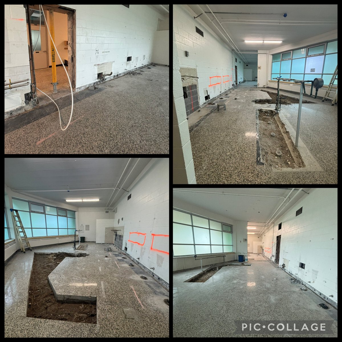 StElizabethOCSB's tweet photo. Summertime is a great time for renovations! 🛠️

The primary bathrooms have been torn apart to make way for new primary bathrooms and a new accessible bathroom. 

Can you guess where the accessible washroom will go? 

@OttCatholicSB @OttawaCSPA https://t.co/aQsTQtJ7I5