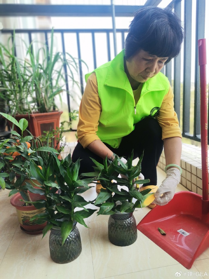 dominikweiher's tweet photo. Join our neighborhood plant swap this Saturday 10am at Central Park! Bring extra seedlings, take new ones, meet local plant lovers u0026 spruce up your home garden https://t.co/SxRfYjX4Zz