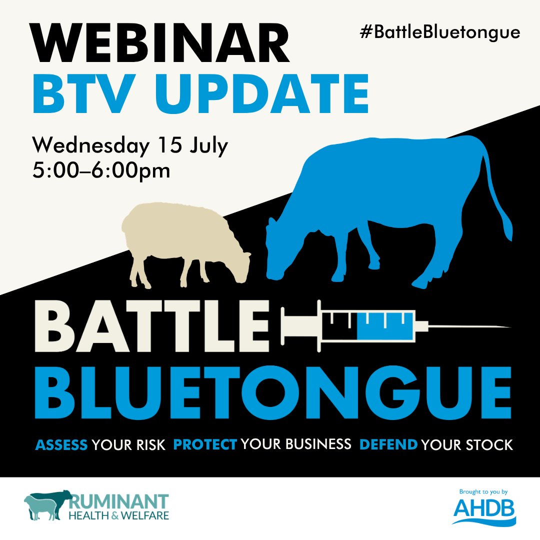 ruminanthw's tweet photo. We are now are in the high-risk period for bluetongue. Learn more about the situation from a panel of experts in the next #BattleBluetongue webinar on 15 July 5-6pm.

Submit questions in advance via: https://t.co/bv3ewp0fQA

Book via: https://t.co/FxX2sWMDbk https://t.co/64RPlusYwA