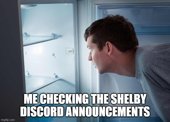 vdinhdat's tweet photo. Day 98 of sharing @shelbyserves memes until mainnet is live https://t.co/HW0eO3yB6Q