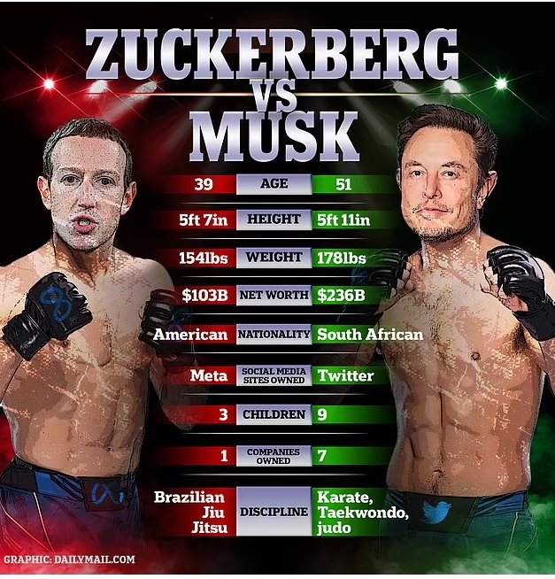 Peropunk's tweet photo. @finkd Still waiting for Mark and Elon's UFC debut. https://t.co/ER8FBdIyf7