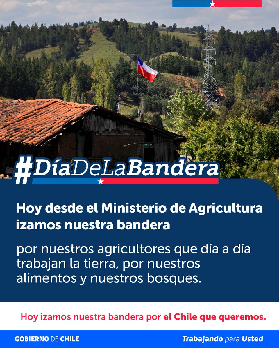 MinagriCL's tweet photo. Hoy izamos nuestra bandera por el Chile que queremos.

#DíaDeLaBandera 🇨🇱 https://t.co/SgP7HXWv7u