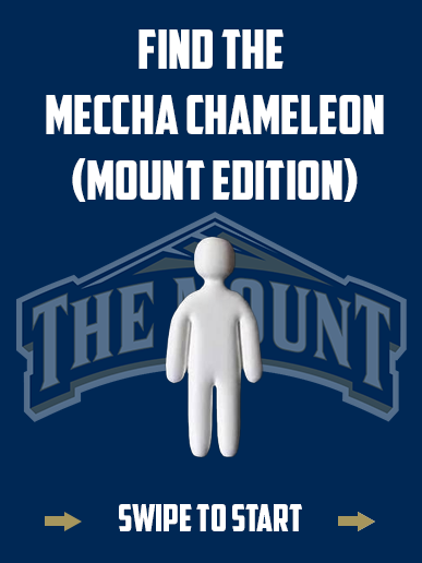 MountAthletics's tweet photo. Meccha Chameleon Mount Edition! Can you find them all?

#GoMount https://t.co/ocafwX9tPj