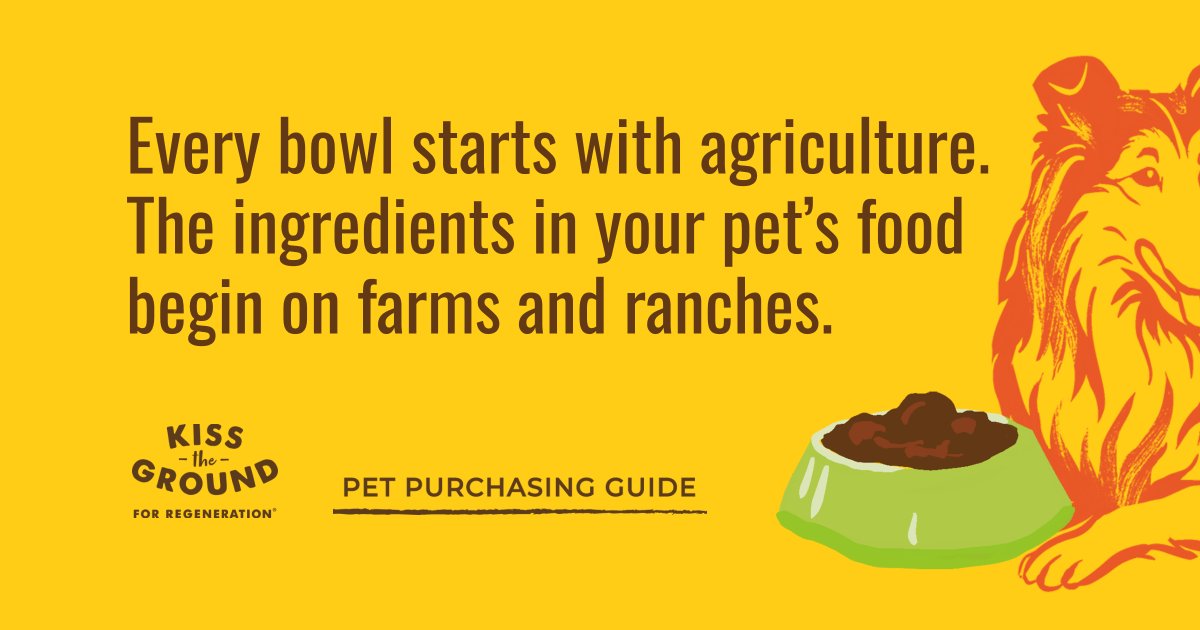 kissthegroundCA's tweet photo. Discover pet brands supporting regenerative agriculture, responsible sourcing, and healthier soils.

Get the guide: https://t.co/Rq40re064L

#kisstheground #soilhealth https://t.co/806diWDVOv