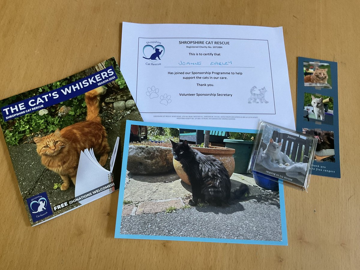 LittleTess3's tweet photo. Tessie & I just renewed our sponsorship for @ShropsCatRescue Only ยฃ20 p.a. And you get a lovely sponsorship pack! Very worthy cause. Itโs a beautiful rescue centre with a lovely retirement village. #CatsOfTwitter #CatsOfX #CalicoCrew https://t.co/4VvQRm41l3