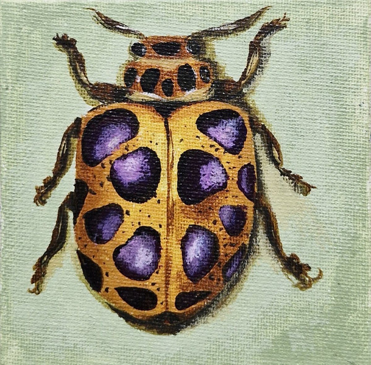 clonazepalm's tweet photo. bugs i made last week https://t.co/QFK7D0XaBH