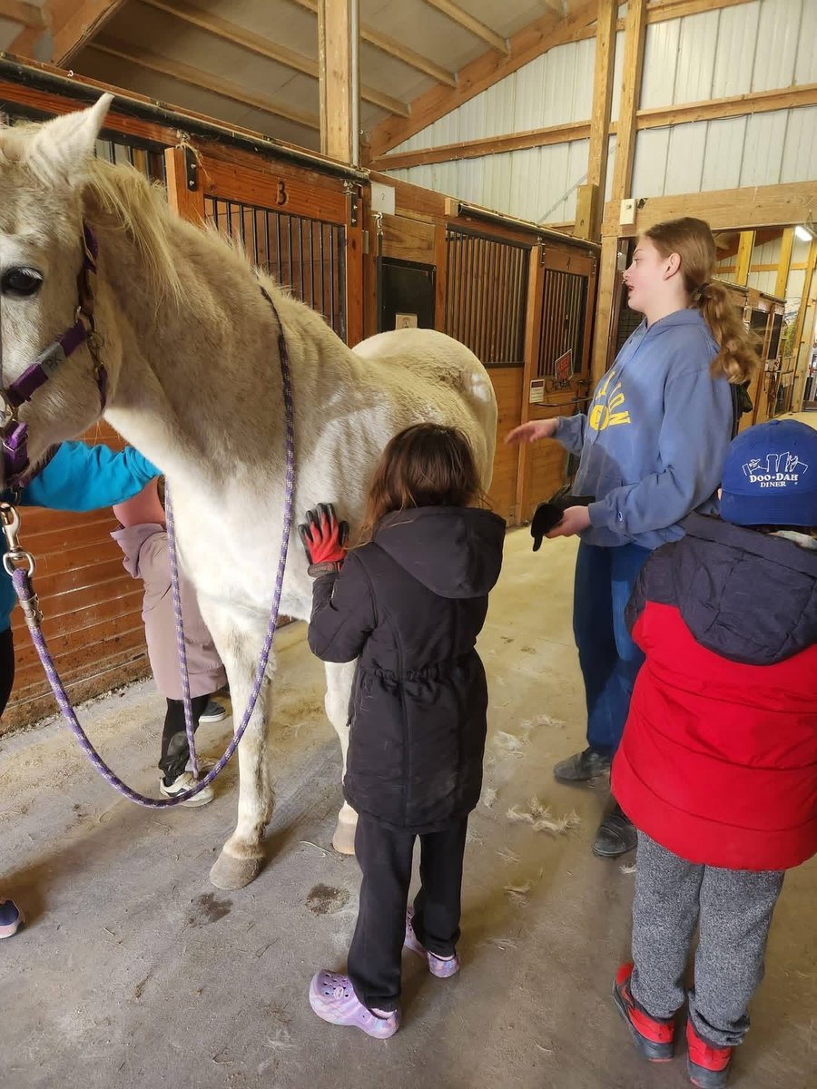 KarmaforCara's tweet photo. Happy #DisabilityPrideMonth! Microgrant recipient Makenna, 13, from WI used her award to add obstacles for therapeutic riding at Triple H Ranch—enriching sessions for kids with disabilities, side walkers &amp; the horses 🐴 New challenges keep everyone engaged! #TherapeuticRiding https://t.co/jEAe7fRxz4
