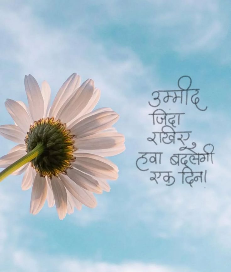 mere2words's tweet photo. उम्मीद जिंदा रखिए,
हवा बदलेगी एक दिन..!! https://t.co/w6ocY84jCP