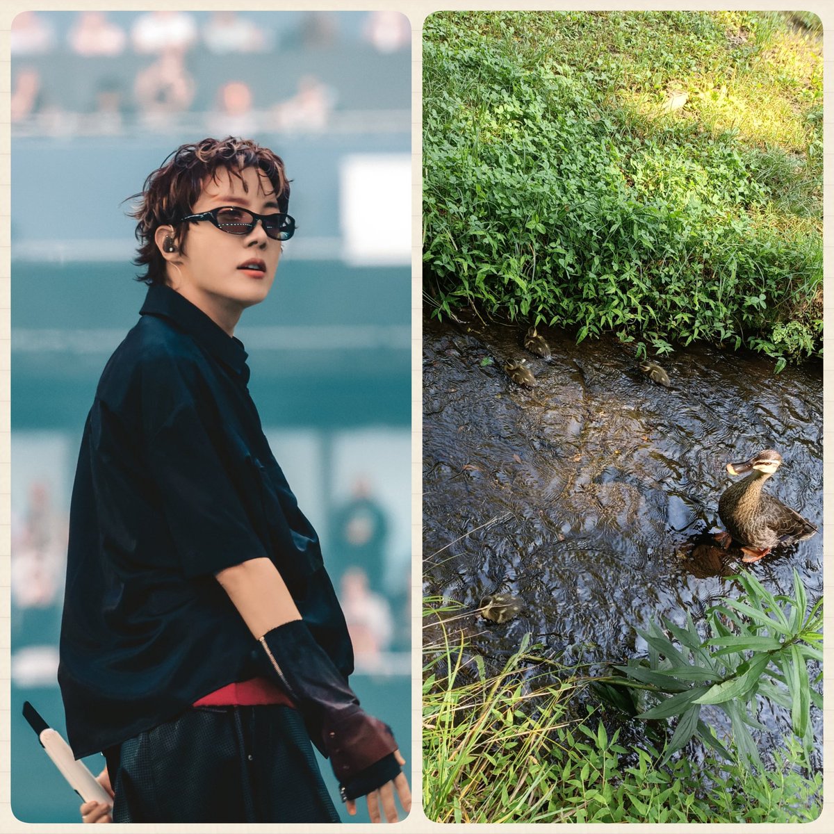 mitupopoh's tweet photo. 朝からパジャマ女神ホソクさんを拝み、お散歩で🦆の親子に会うといういい1日でした

【音韓】ジェイホープ（BTS（防弾少年団））に投票完了！現在の得票数:1640票
ジェイホープ「会える日までもうすぐだよ！」
人気投票はこちらから↓
 https://t.co/9eaqW3WaAm
 #ジェイホープ #ホビ #チョン・ホソク https://t.co/8sSTSMXHIu