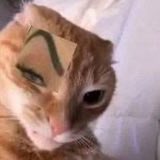 fimk_k's tweet photo. @9lextex Quem sou eu para julgar né mas fiquei assim 🤨 https://t.co/y68HFsD4Qd