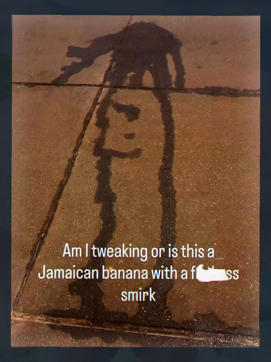 tragicbirdapp's tweet photo. https://t.co/kC4i0ev4U7