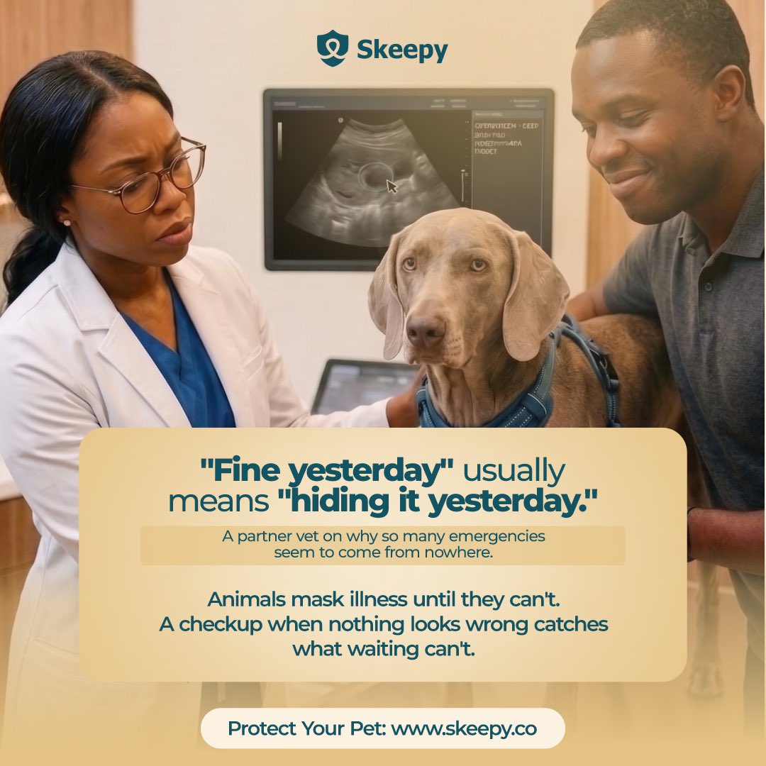 skeepyhq's tweet photo. Pets know how to hide illness until it's too late.

That's why you should always pay attention. But most importantly, make regular checkups a priority.

With all Skeepy Pet HMO plans, tests are covered.

Signup now on: https://t.co/m1es9LuhGA

#skeepy #skeepypethmo #pethmo #petinsurance #petcareprovider
