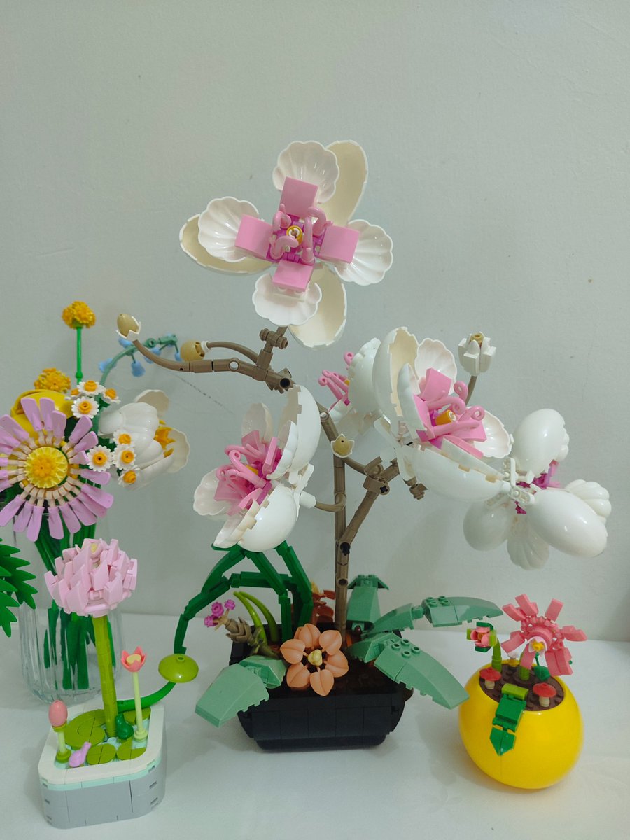 brcucaa's tweet photo. 💐 https://t.co/tODdvg32tV