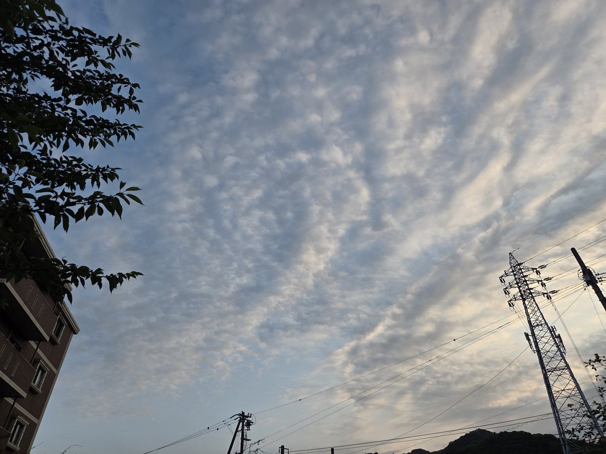wonder_future72's tweet photo. もういっちょ空 https://t.co/kpx7qUvZoP