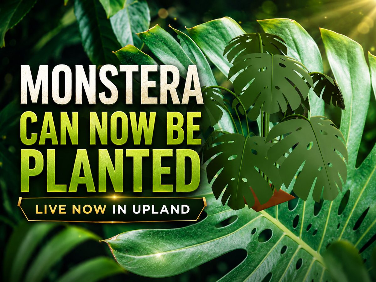 UplandMe's tweet photo. Been waiting to plant your Monstera seeds? Wait no longer, they're live! You can get planting right now inside of Upland, adding to your gardens and decorate your properties! https://t.co/vH9UAB2wkJ
