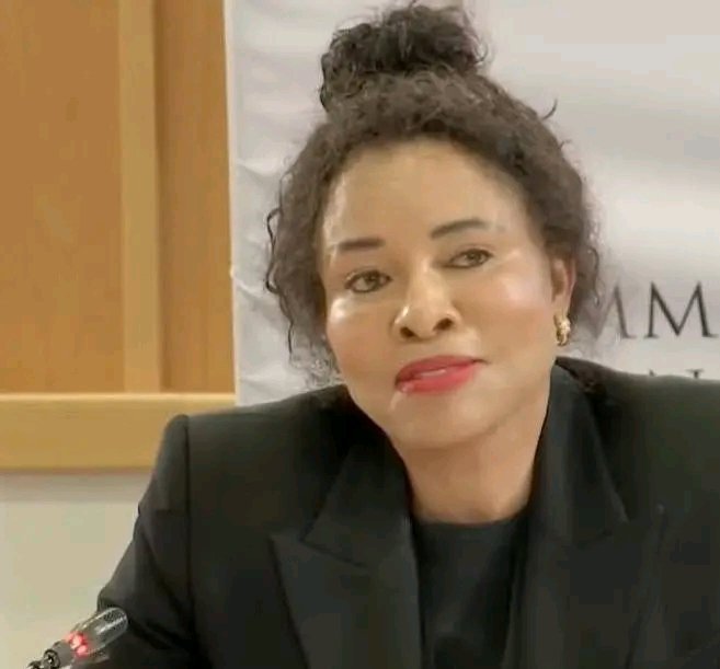 naseemak27's tweet photo. So Imogen Mashazi was entrusted with the Ekuruhleni Municipal budget that ranged between R50 Billion and R65 Billion. No accountability therefore mismanagement, arrogance and opulence. Ekuruhleni is a crime scene! We should all be very angry. 😡 We were all robbed. https://t.co/7XrhLGxX6R