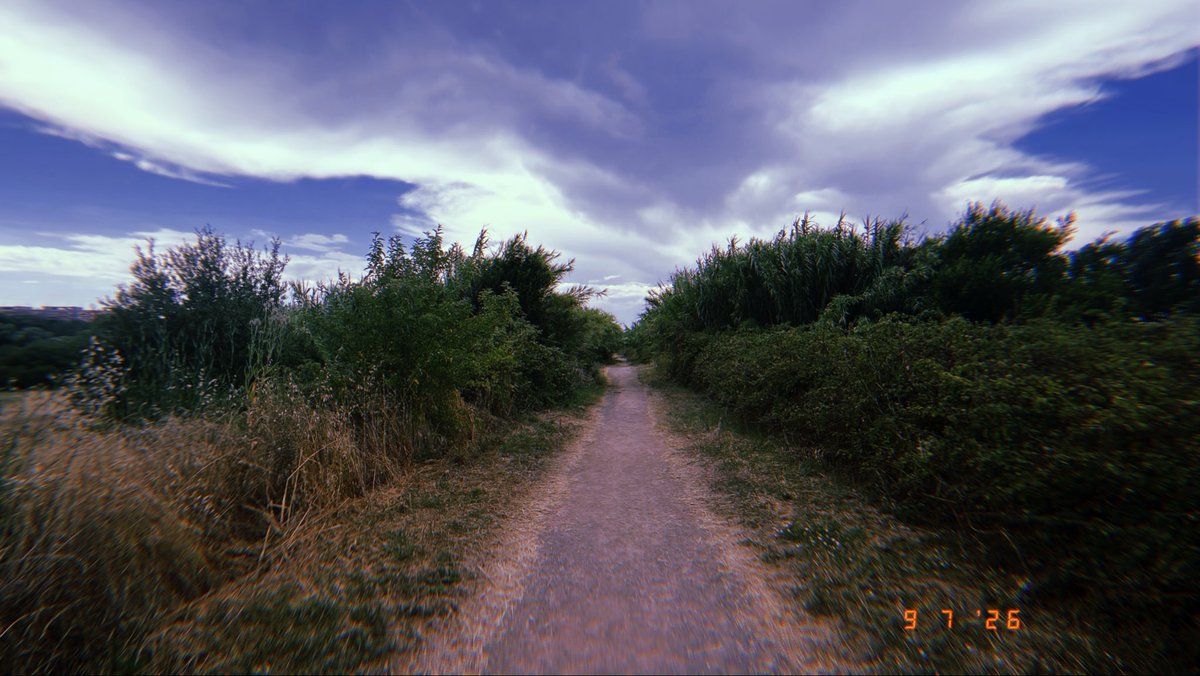 froginagrave's tweet photo. ***
Summer Running
34*, Rome, Trails.
Bliss
.
.
.
.
.
#runningpunks #trailrunning #running #hoka #hokaoneone https://t.co/jYvnNK5m7e