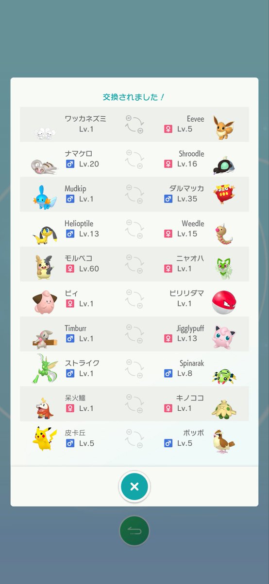 cld5n's tweet photo. ミラクルボックスで全員進化前だった時萎えるのチャンピオンズ脳になっててほんと良くない() https://t.co/BtisUdGtVP