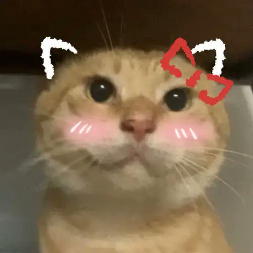 0xHeme's tweet photo. I’ve seen a lot of criticism directed at Binance for listing meme coins on Alpha and launching futures tied to the “two saints.” with projects like DOYR, DDDD, and Customer Service, I m fucking here

Although the criticism highlighted a huge issue within Onchain BSC memes, 
Big Sis @heyibinance made a fair and important point: memes shouldn’t rely solely on CZ or Heyi, and many of the current on-chain memes lack real aesthetic value and substance.

In a way, this wave of criticism is healthy. It has highlighted a crucial realization the future belongs to authentic COMMUNITY MEMES. These are projects with dedicated builders who have been grinding for months, not days. Take 哈基米 as a prime example: consistently building for over 9 months, with a community that has only grown stronger through every challenge.

哈基米 stands out not just for its resilience, but for its unique achievements. It became the first Chinese meme coin sent to the edge of space, accomplished on a limited budget through pure collective community effort. Unlike many others, these true community memes aren’t dependent on any single influencer or figurehead. They aren’t pump-and-dump schemes, and they don’t extract value from the BNBChain ecosystem.

Instead, they give back. The 哈基米 community has already distributed over $100,000 in community airdrops, donated more than $20,000 to Giggle Academy to support free education, and funded multiple animal welfare initiatives. These efforts aren’t one-offs they will continue because the project is powered by genuine, long-term builders.

The only sustainable path forward for the BNB Chain ecosystem is to fully embrace these community memes and actively reward their builders. When real contributors see that dedication and creativity are valued, more talented individuals will be motivated to build on-chain creating a stronger, more vibrant, and self-sustaining ecosystem.

@cz_binance @heyibinance @hajimi_CTO_BNB @BNBCHAIN @binancezh