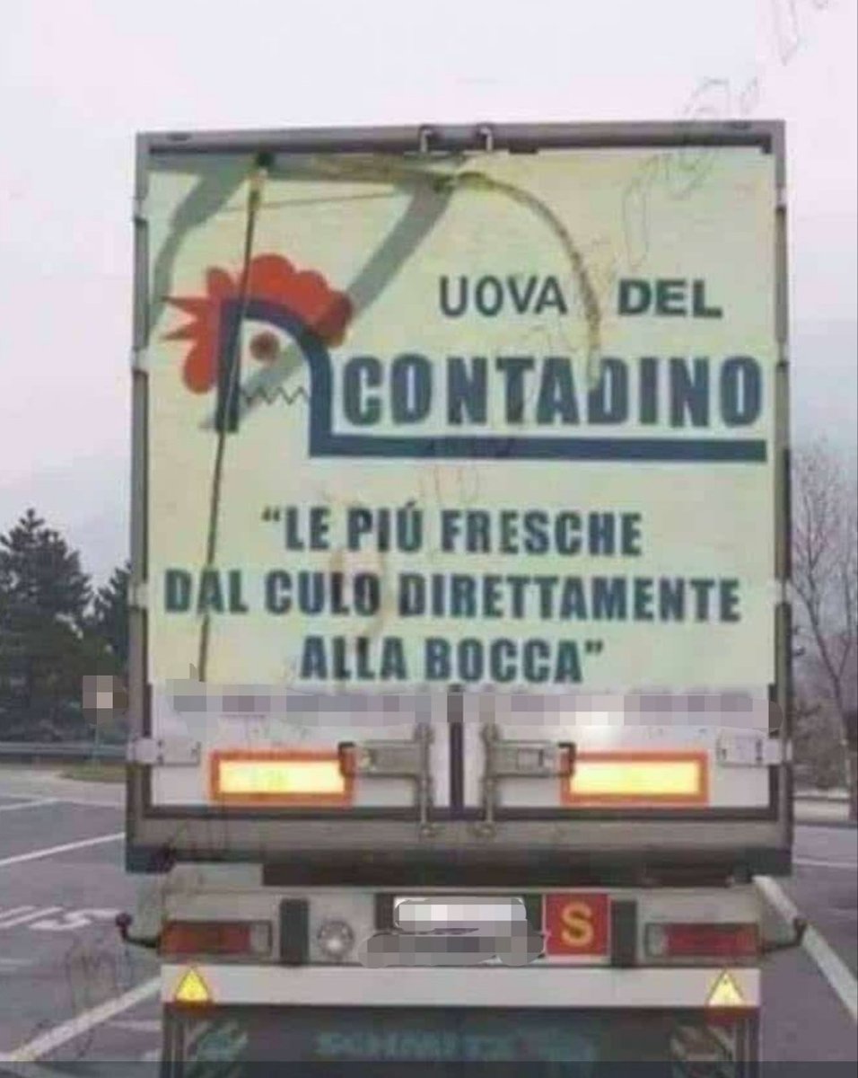 BrunoP🇮🇹 tweet media